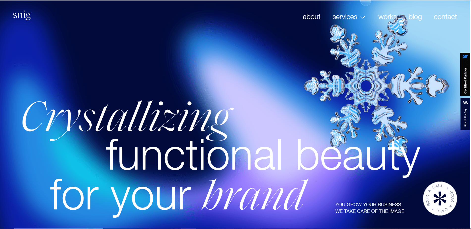 Snig Digital landing page with 3D glass snowflake over aurora mesh