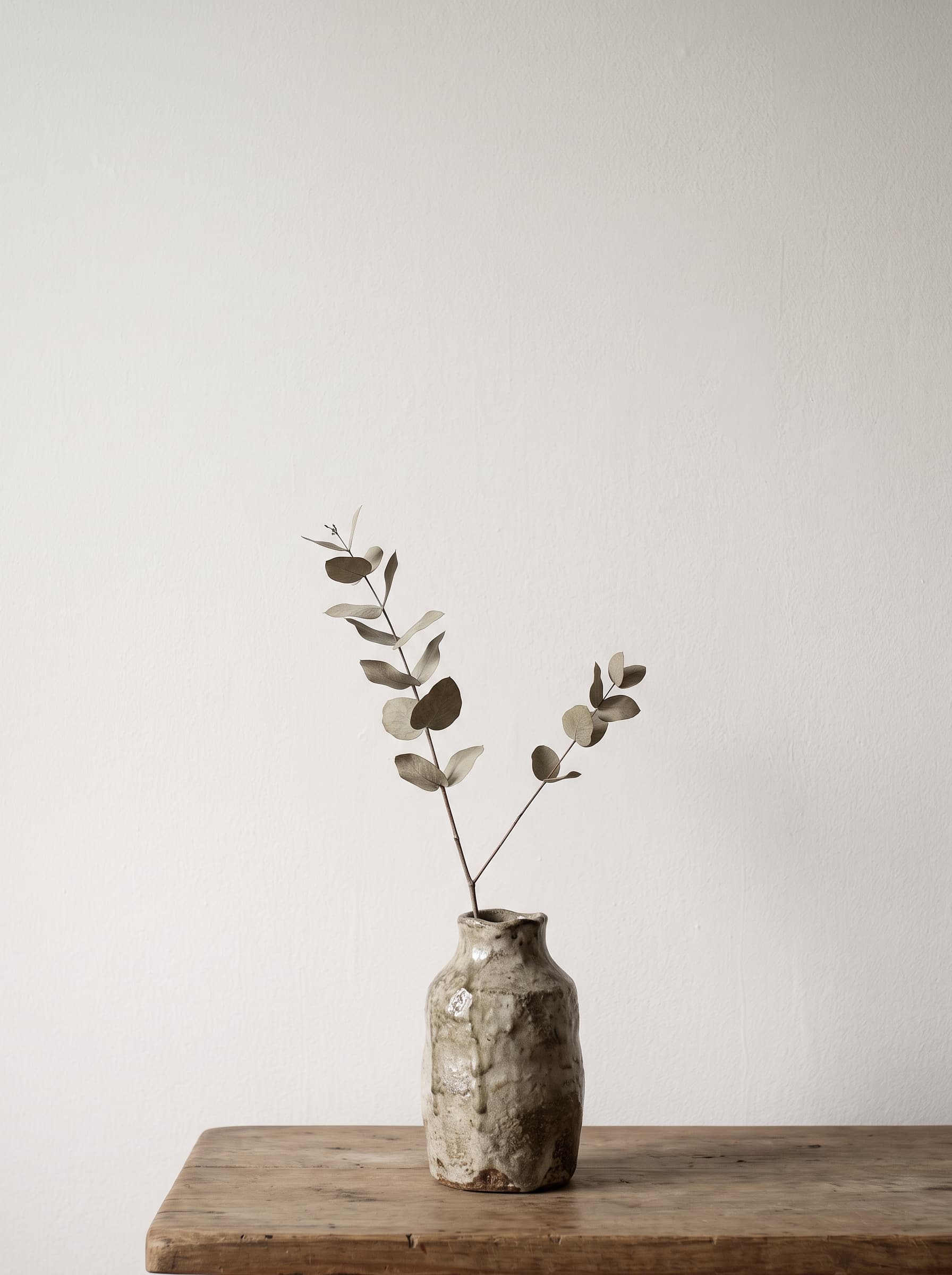 Single botanical arrangement in a restrained minimal vase composition