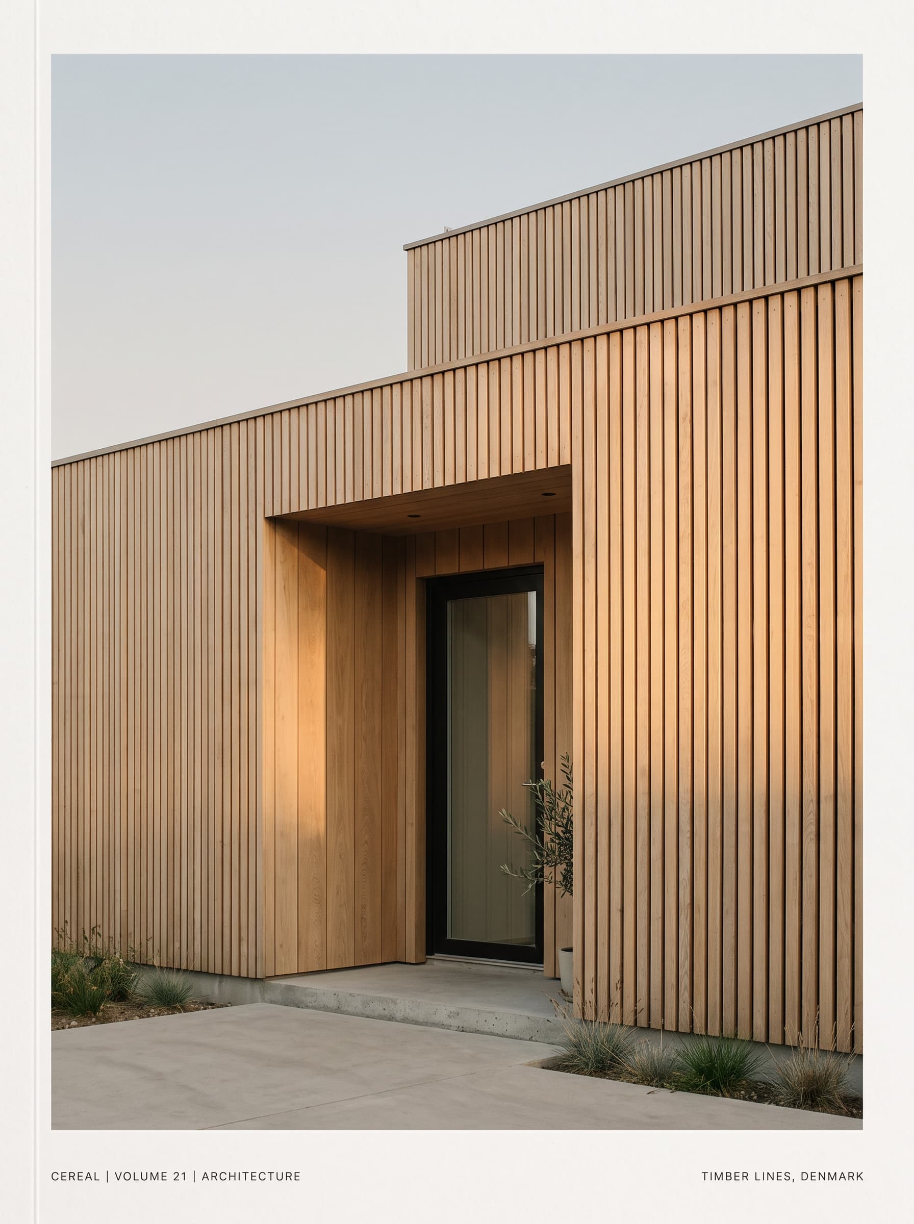 Minimal timber house with restrained linear structure