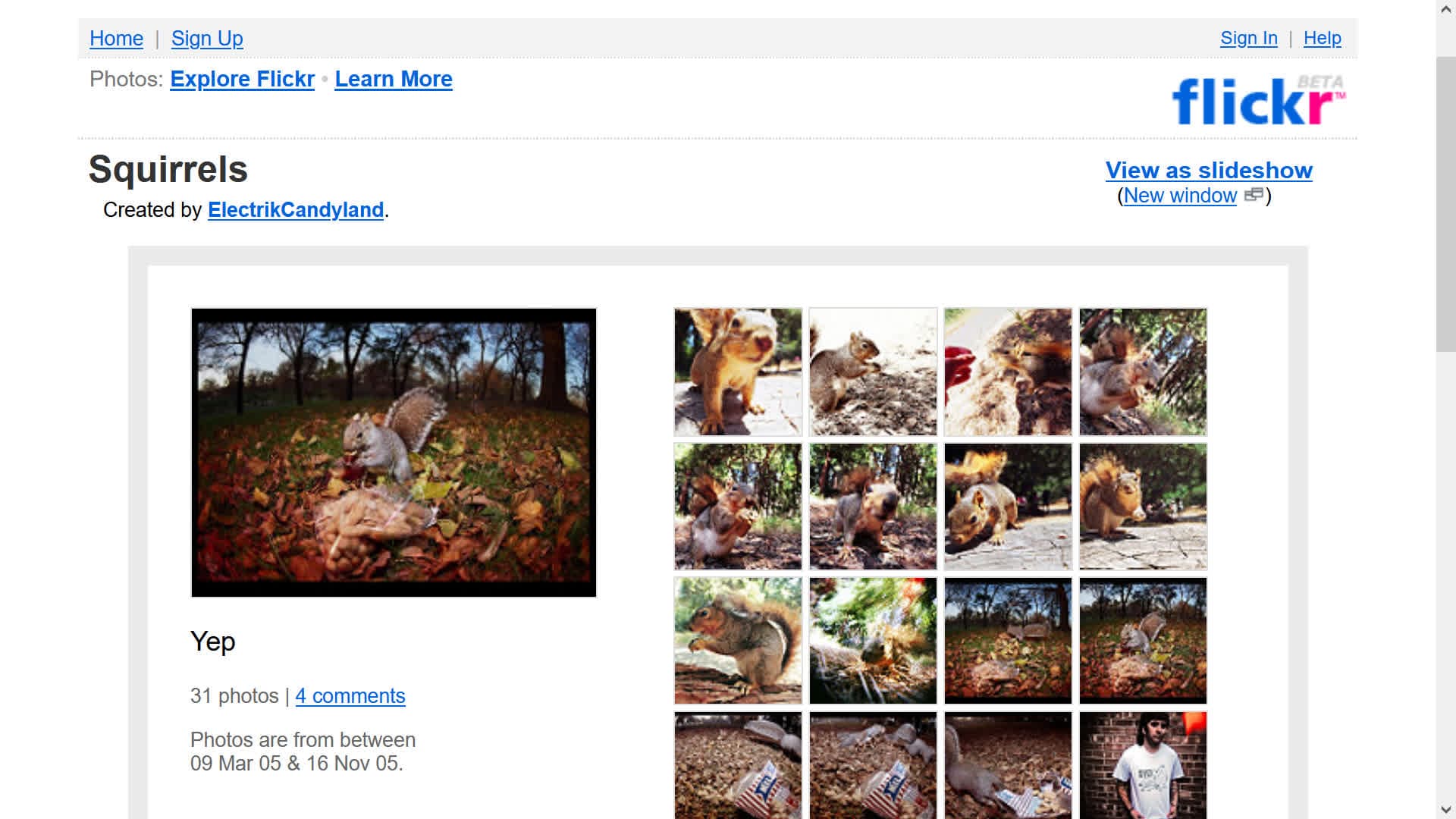 Flickr photo sharing website interface